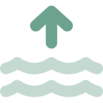 Water and Carbon Cycle at Study Dog
