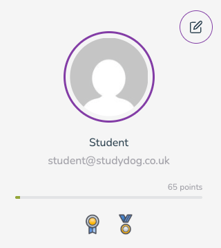 Profile Achievements